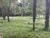 Terreno, 11000 m² - Foto 3