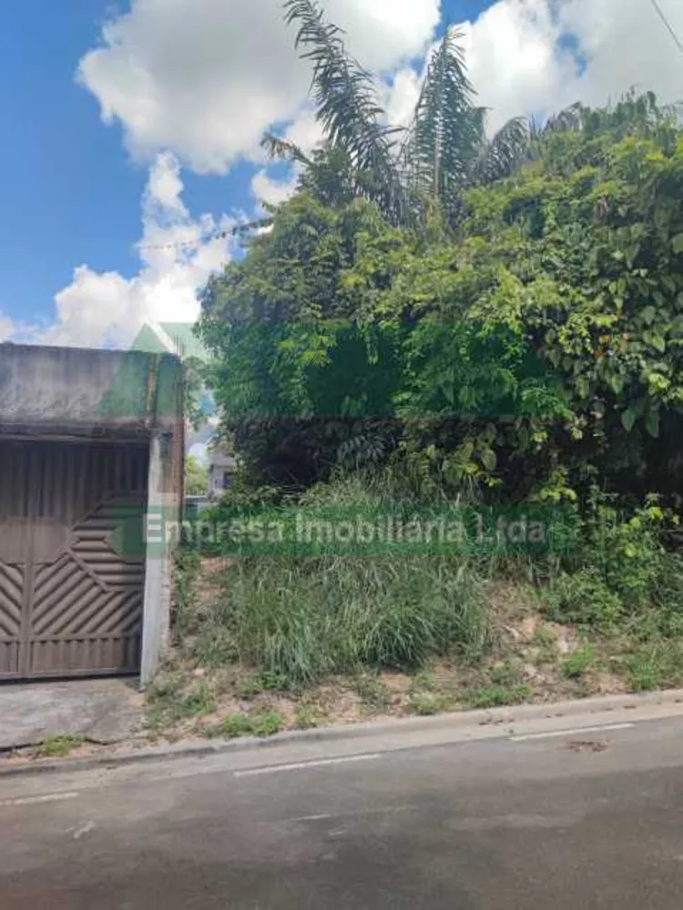 Terreno, 200 m² - Foto 6
