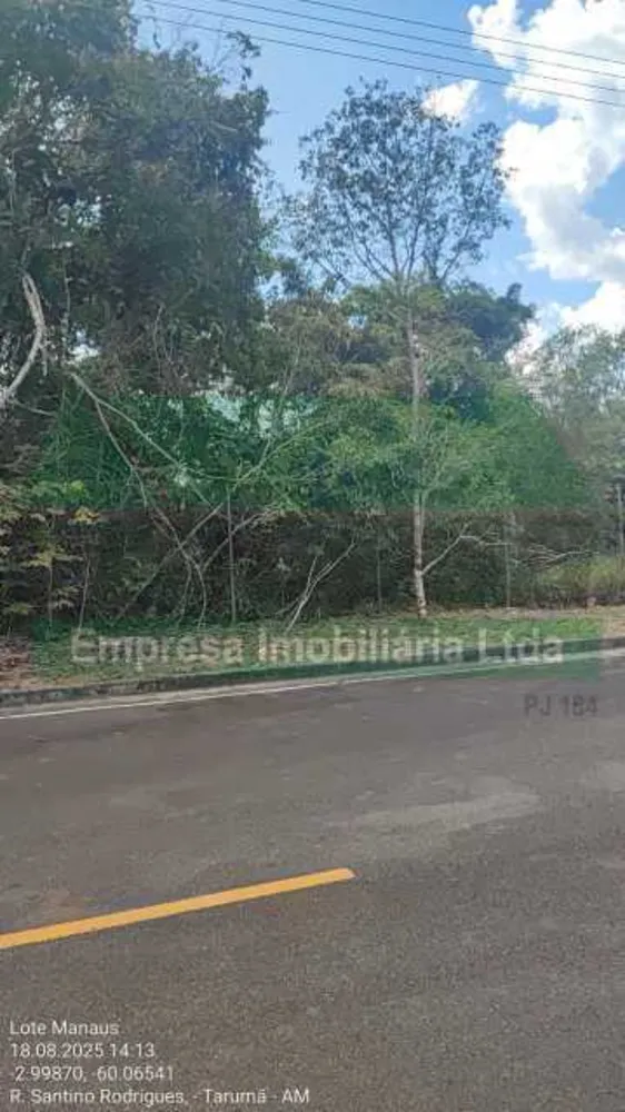 Terreno, 200 m² - Foto 3