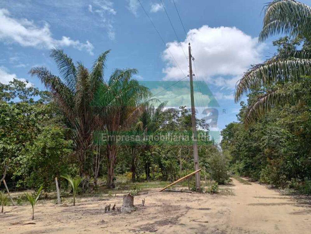 Terreno, 1800 m² - Foto 4