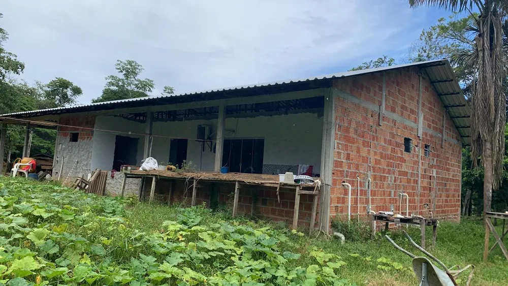 Chácara, 2 quartos, 3136 m² - Foto 3