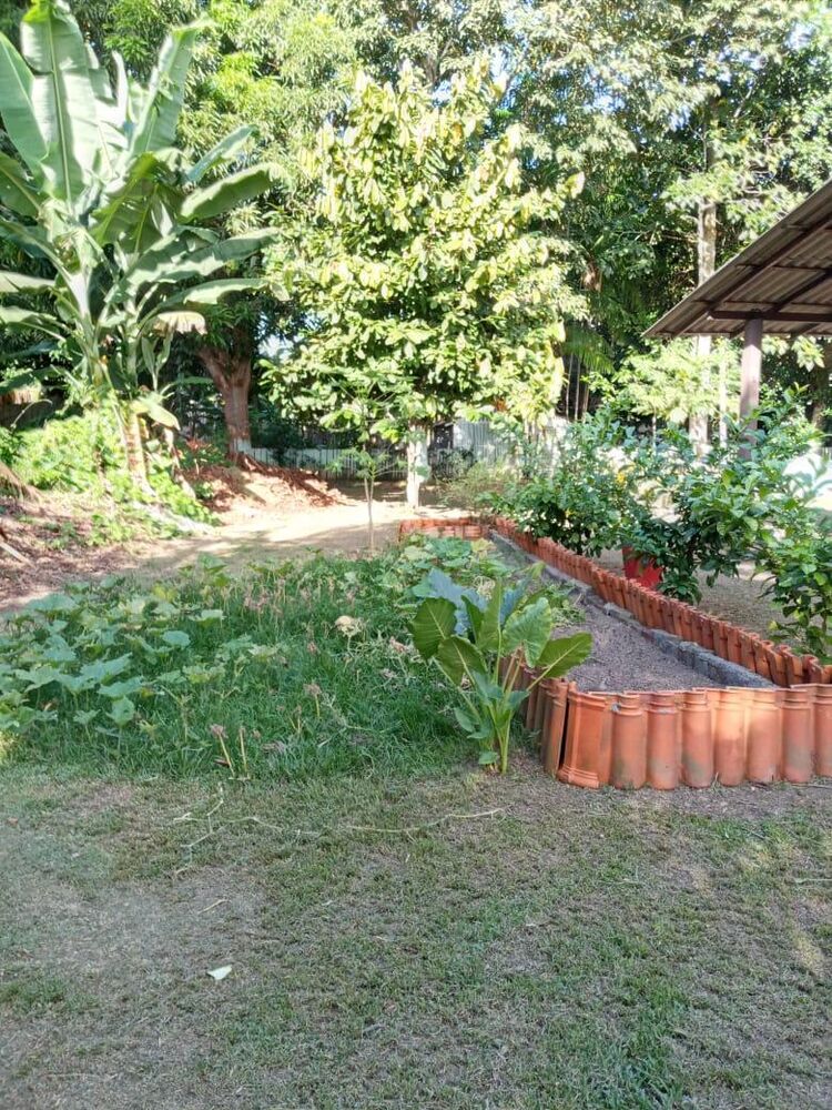 Chácara à venda com 3 quartos, 3658m² - Foto 5