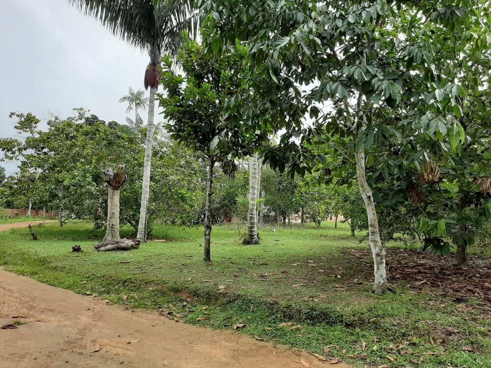 Sítio à venda com 2 quartos, 50m² - Foto 8