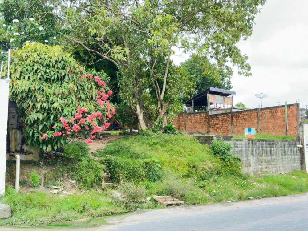 Casa, 3 quartos, 100 m² - Foto 10