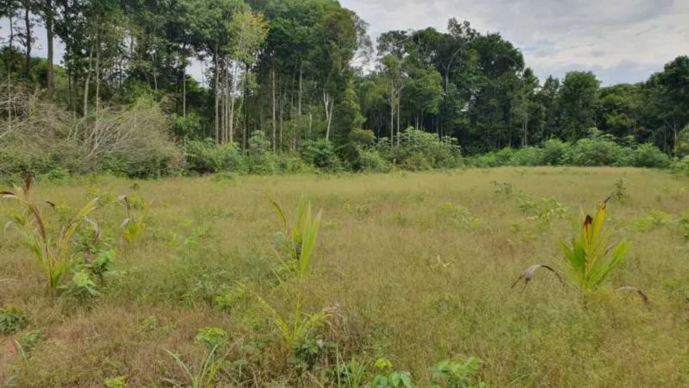 Terreno, 2790 m² - Foto 9