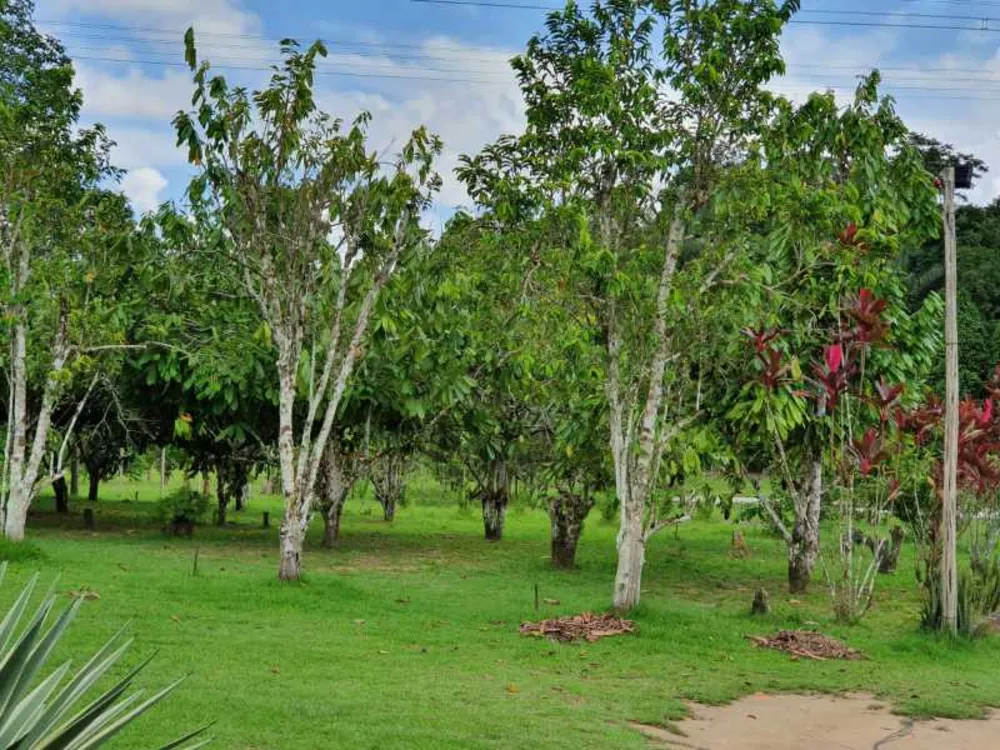 Chácara, 4 quartos, 1 hectares - Foto 2
