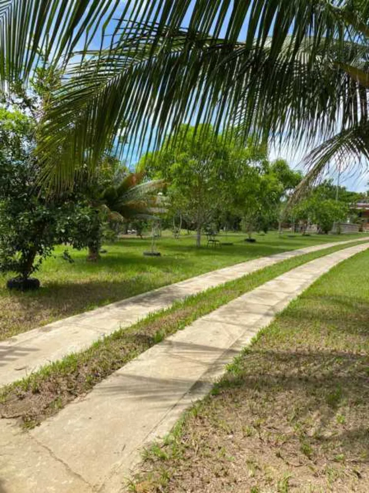 Chácara, 4 quartos - Foto 6