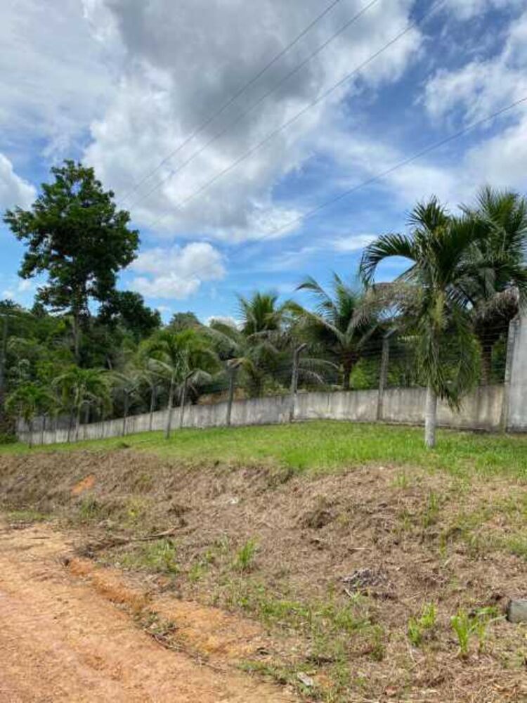 Chácara à venda com 4 quartos, 42m² - Foto 7