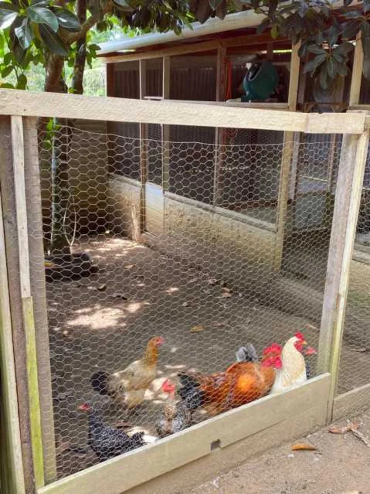 Chácara, 4 quartos - Foto 27