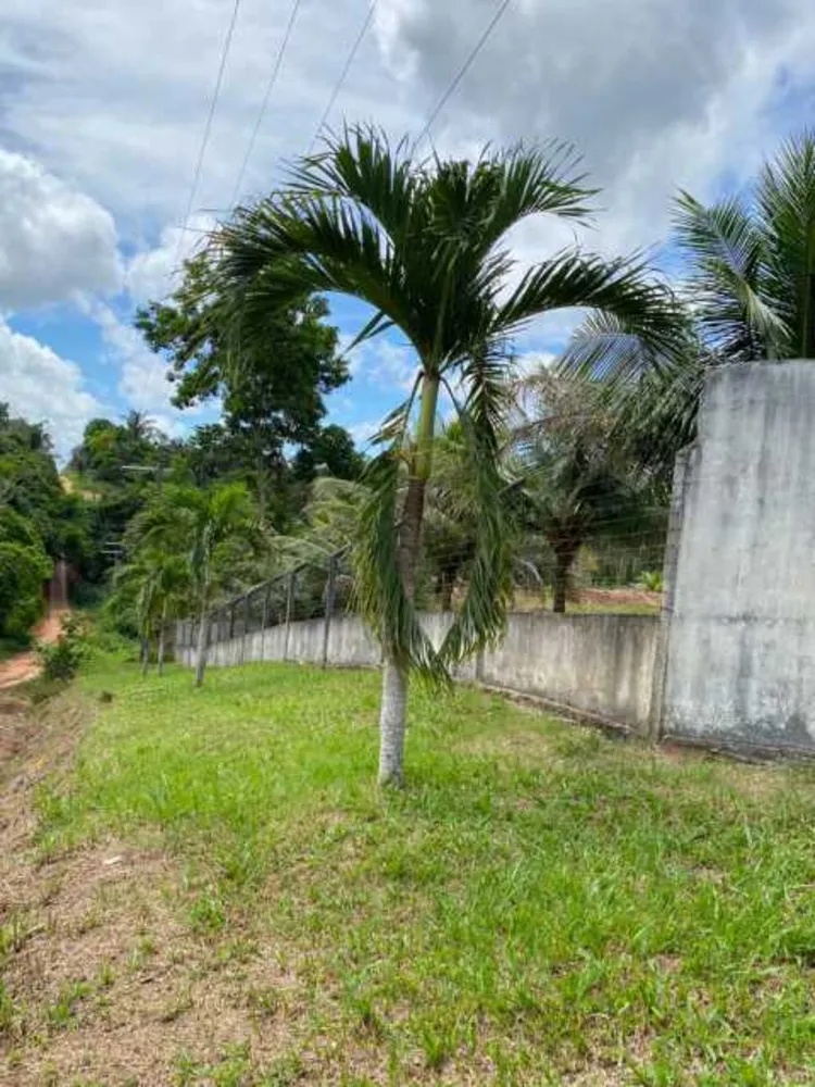 Chácara, 4 quartos - Foto 10