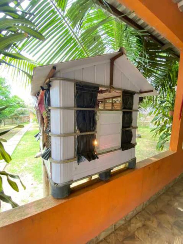 Chácara à venda com 4 quartos, 42m² - Foto 27