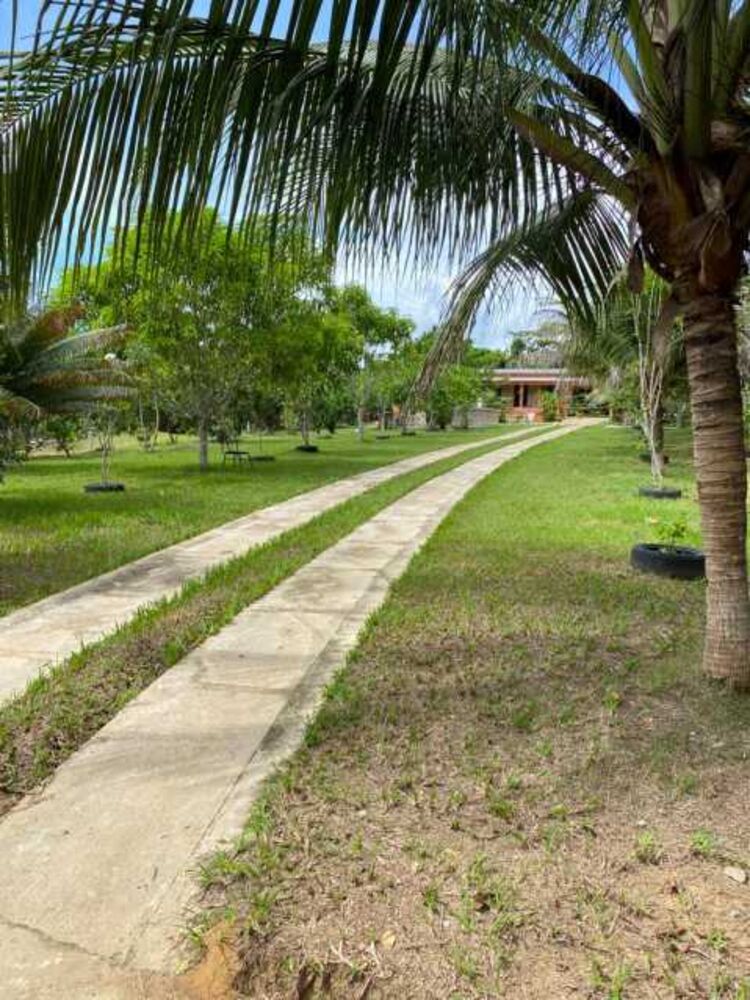 Chácara à venda com 4 quartos, 42m² - Foto 5
