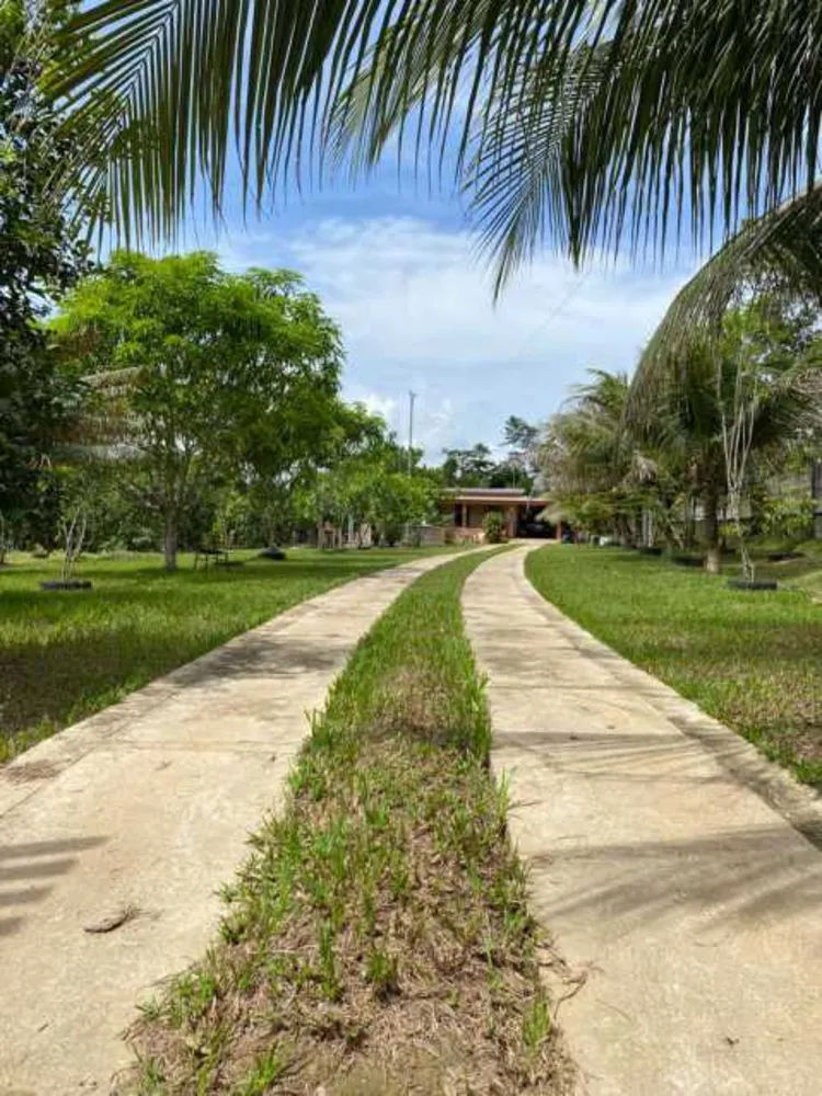 Chácara, 4 quartos - Foto 5