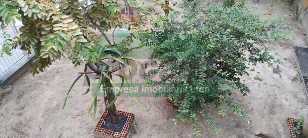 Casa, 5 quartos, 540 m² - Foto 14