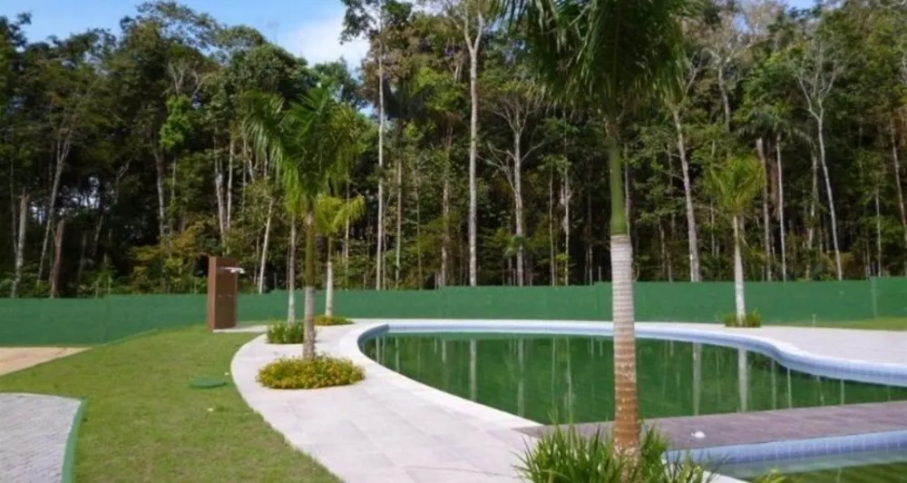Terreno - Foto 4
