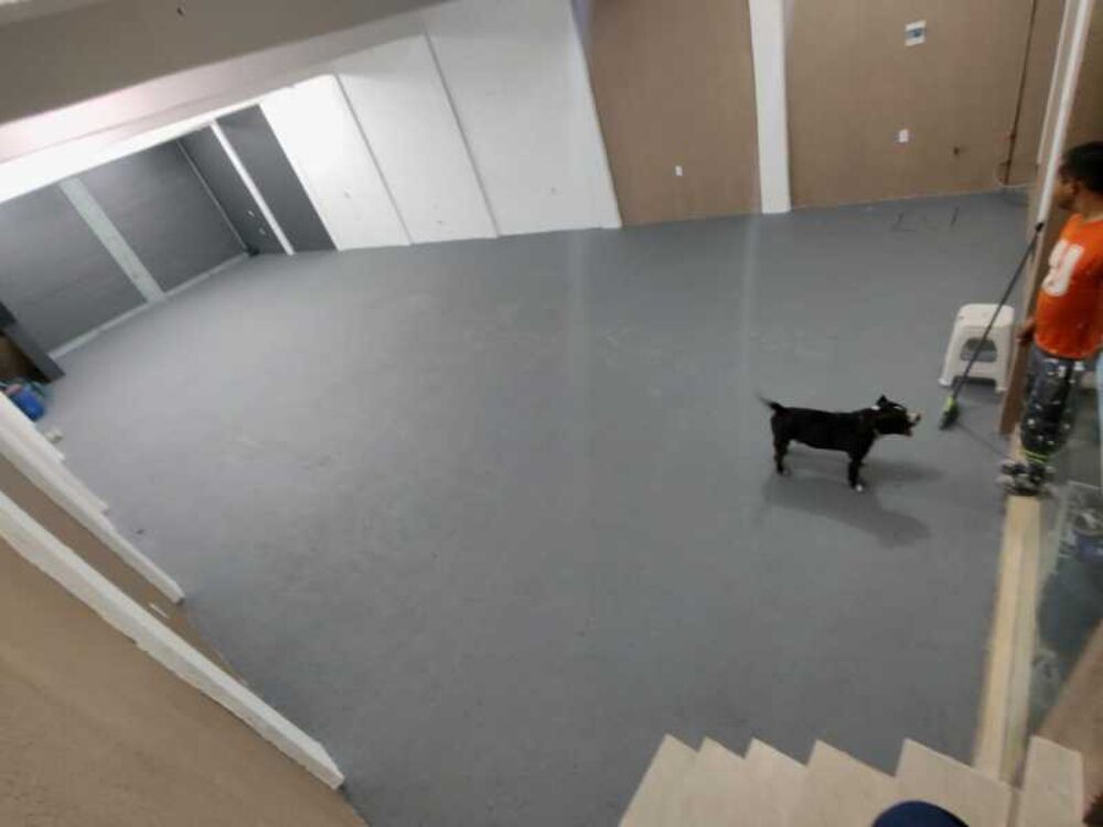Depósito-Galpão, 205 m² - Foto 4