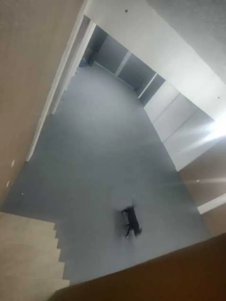 Depósito-Galpão, 205 m² - Foto 5