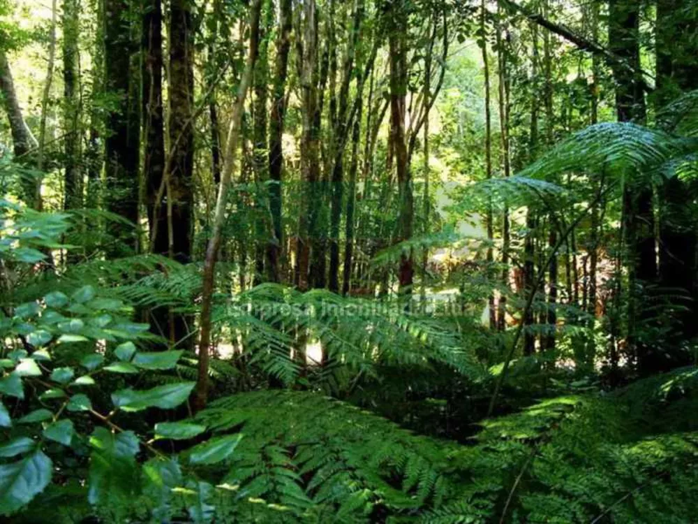 Terreno à venda, 20000000 - Foto 4