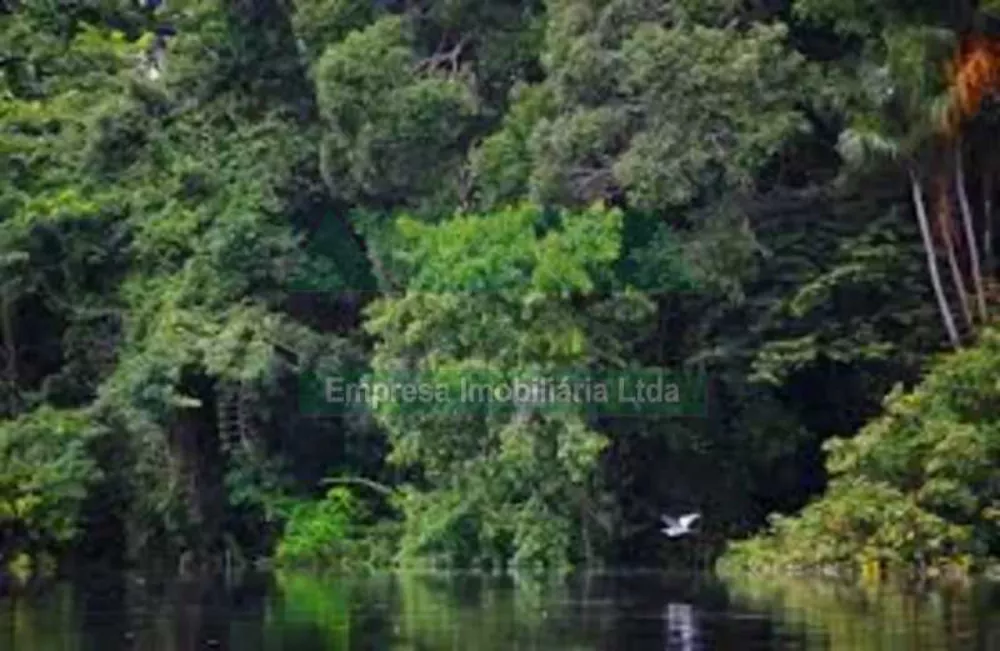 Terreno à venda, 20000000 - Foto 3