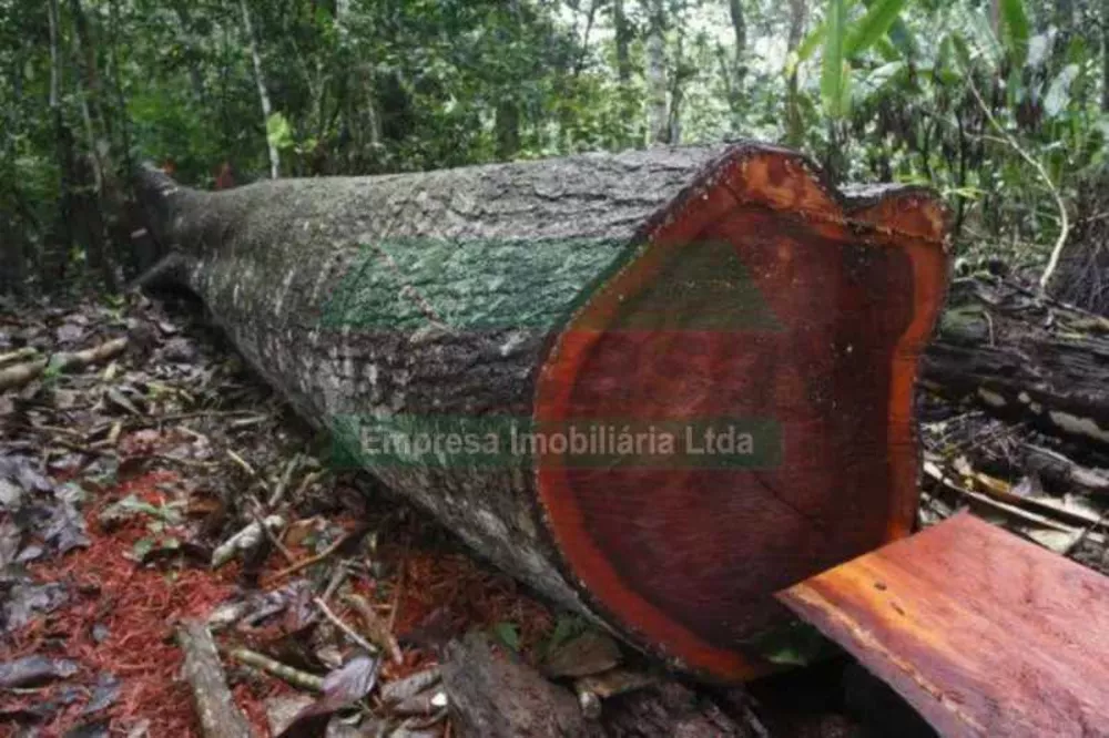 Terreno à venda, 20000000 - Foto 2