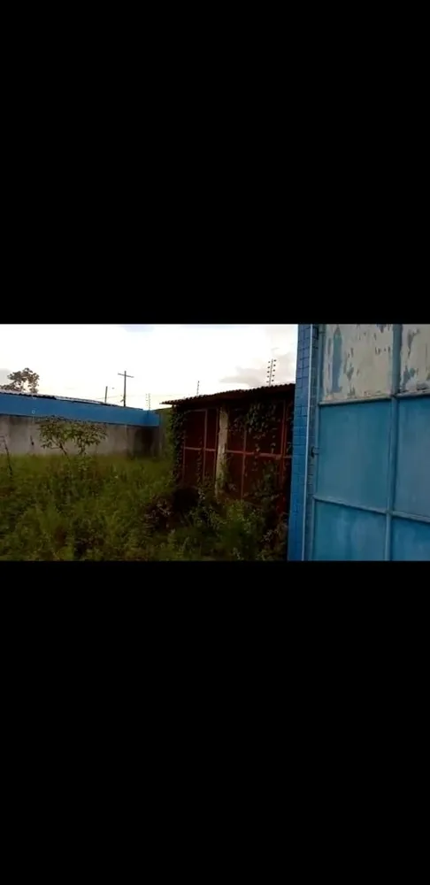 Terreno - Foto 4