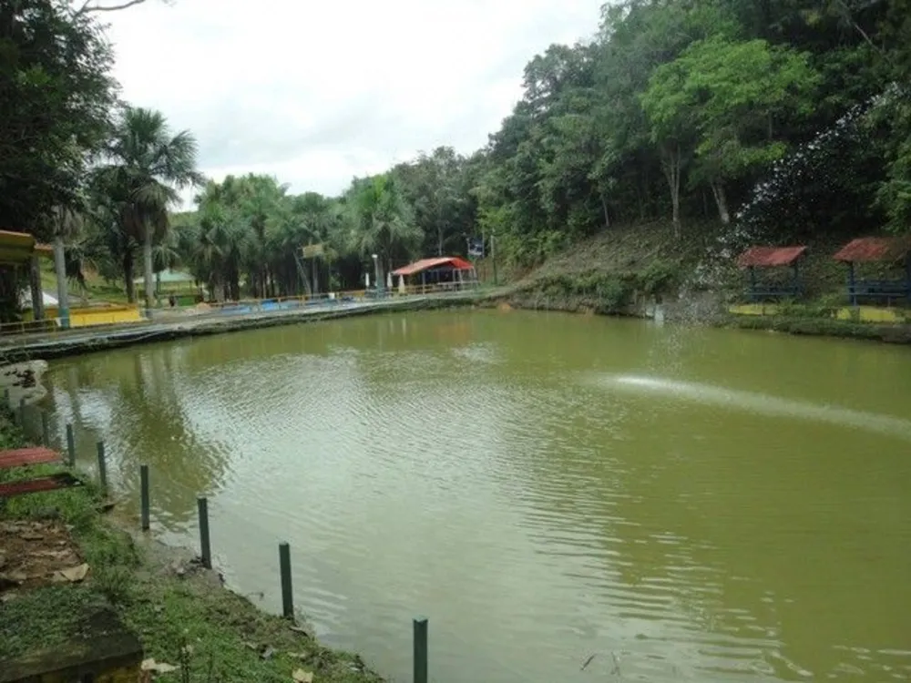 Loja-Salão, 471000 m² - Foto 11