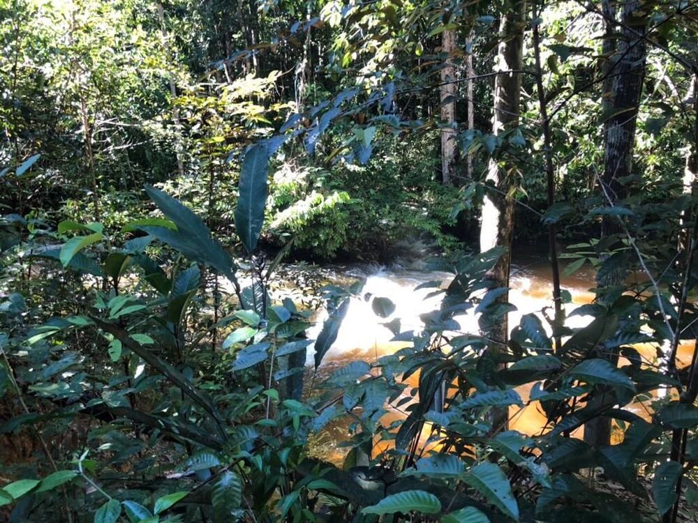 Terreno à venda - Foto 9