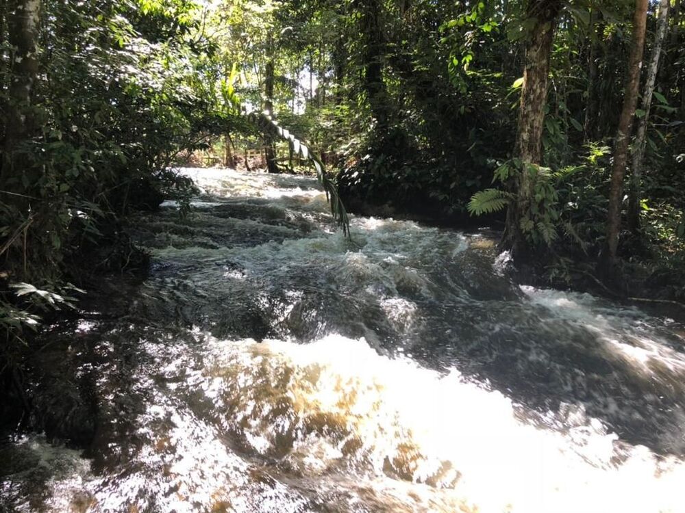 Terreno à venda - Foto 5