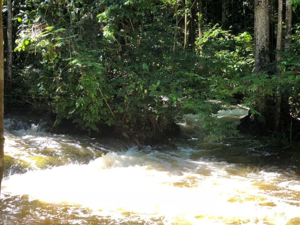 Terreno à venda - Foto 3