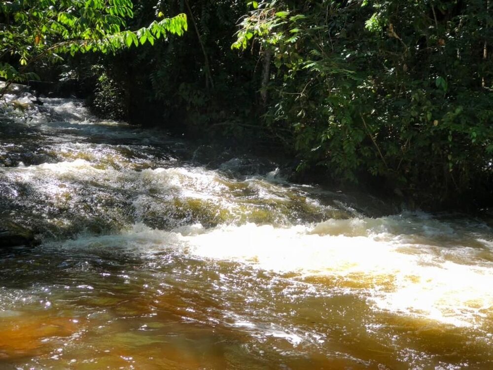 Terreno à venda - Foto 2