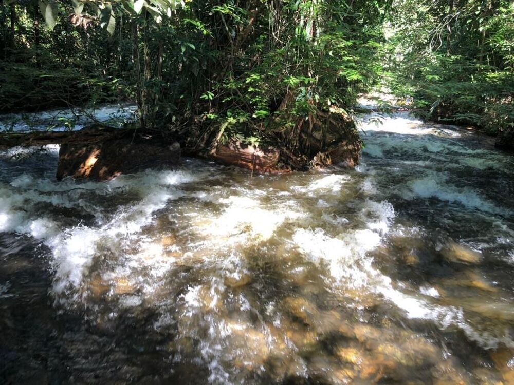 Terreno à venda - Foto 15