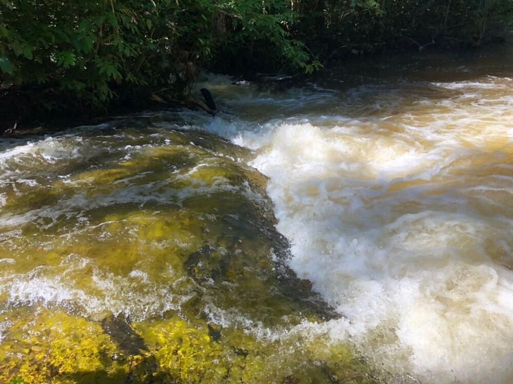 Terreno à venda - Foto 8