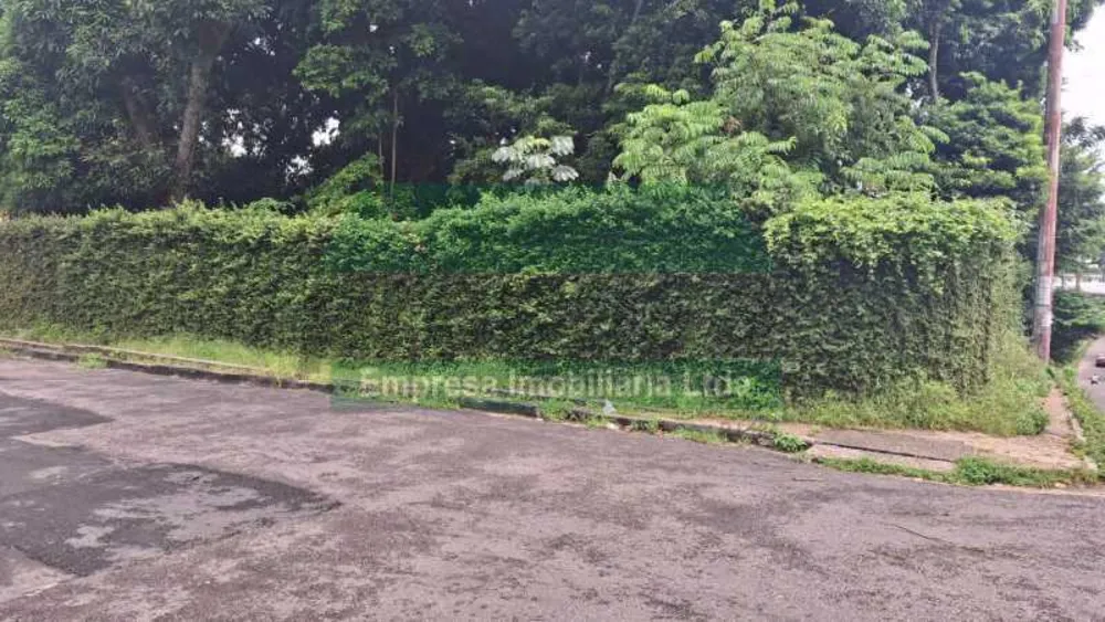 Terreno, 3137 m² - Foto 3