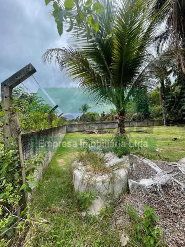 Chácara, 4500 m² - Foto 4