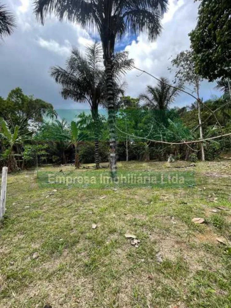 Chácara, 4500 m² - Foto 2