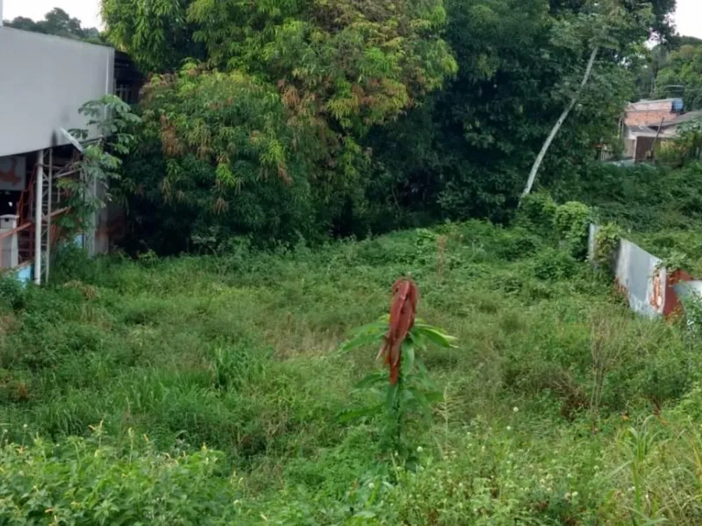 Terreno - Foto 1