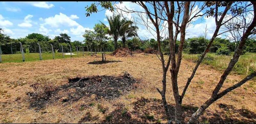 Terreno, 1298 m² - Foto 6