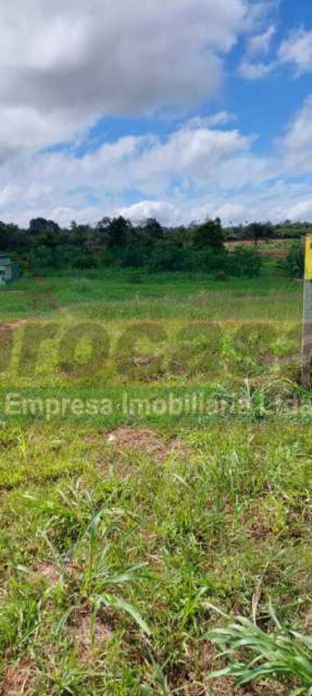 Terreno, 5000 m² - Foto 4