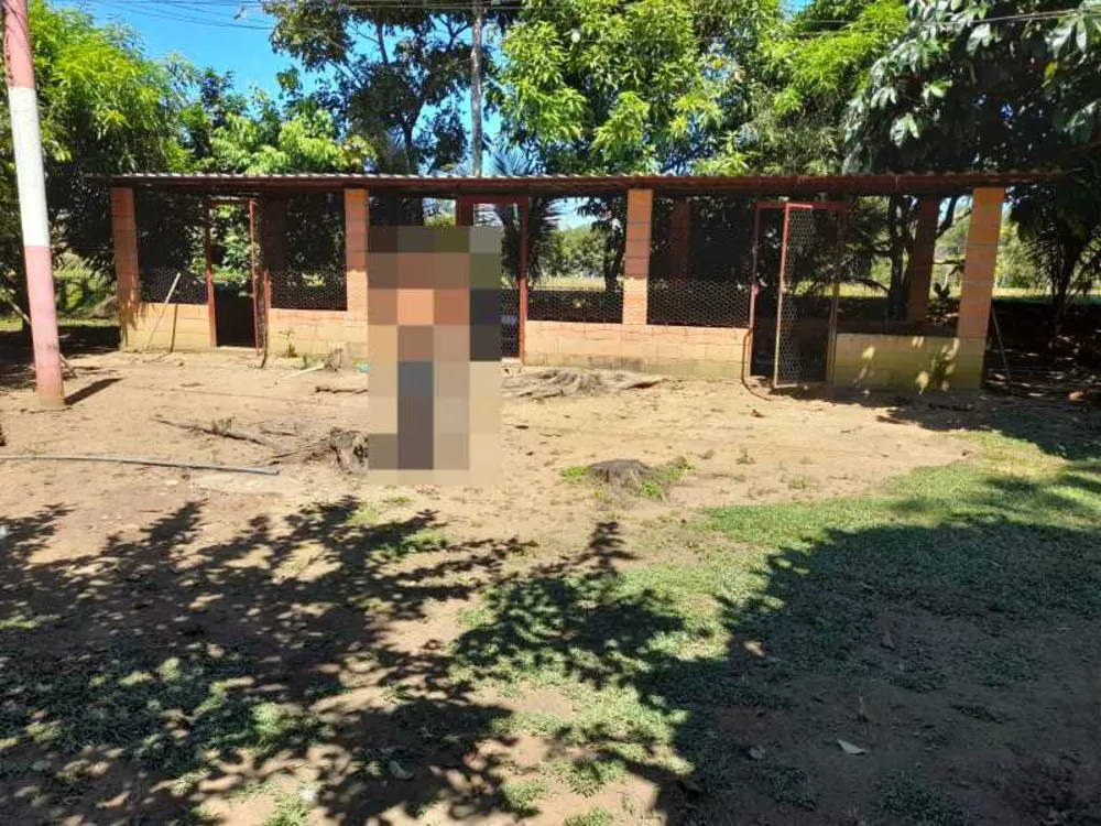 Sítio, 3 quartos, 15600 m² - Foto 11