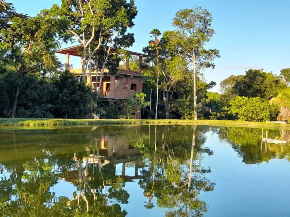 Sítio, 3 quartos, 15600 m² - Foto 1