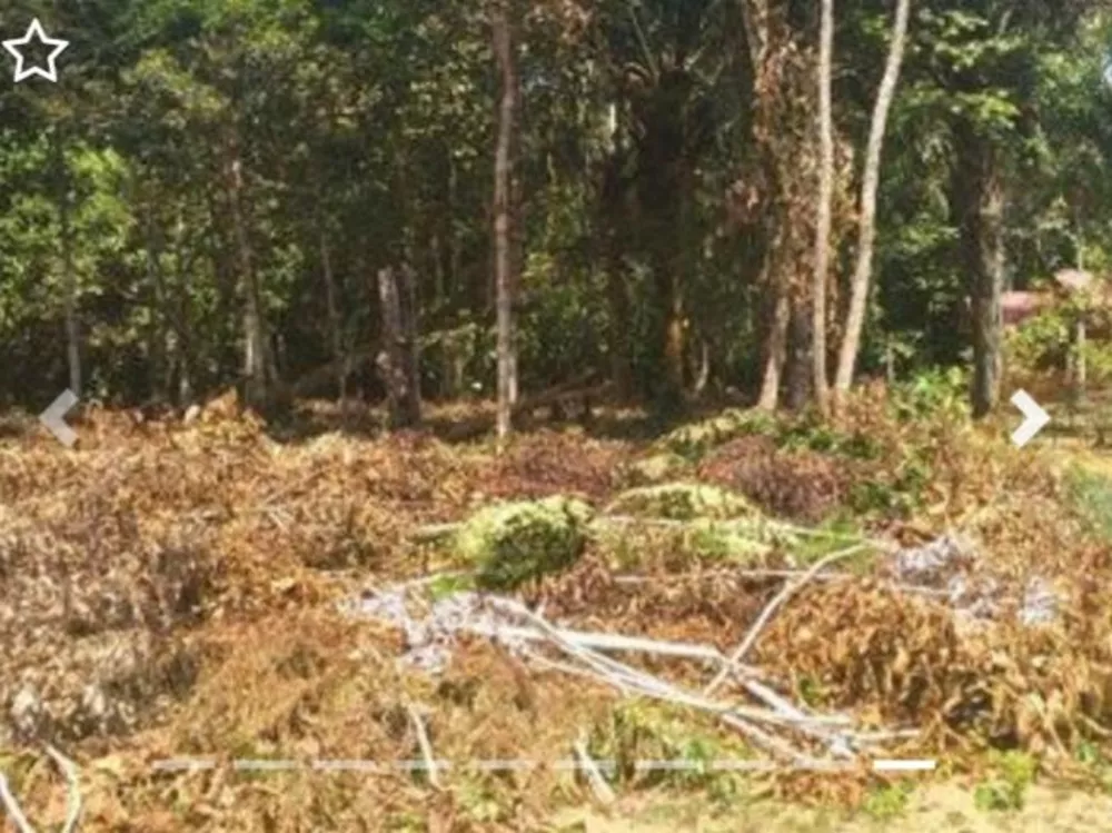 Terreno à venda, 1000 - Foto 2