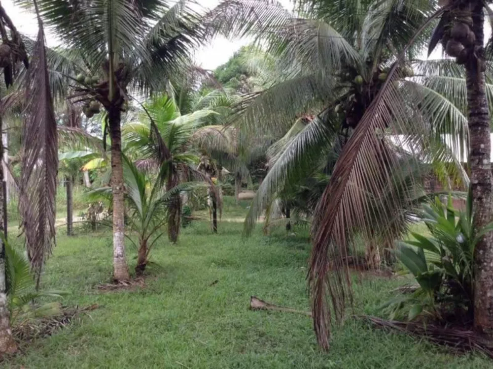 Terreno à venda - Foto 4