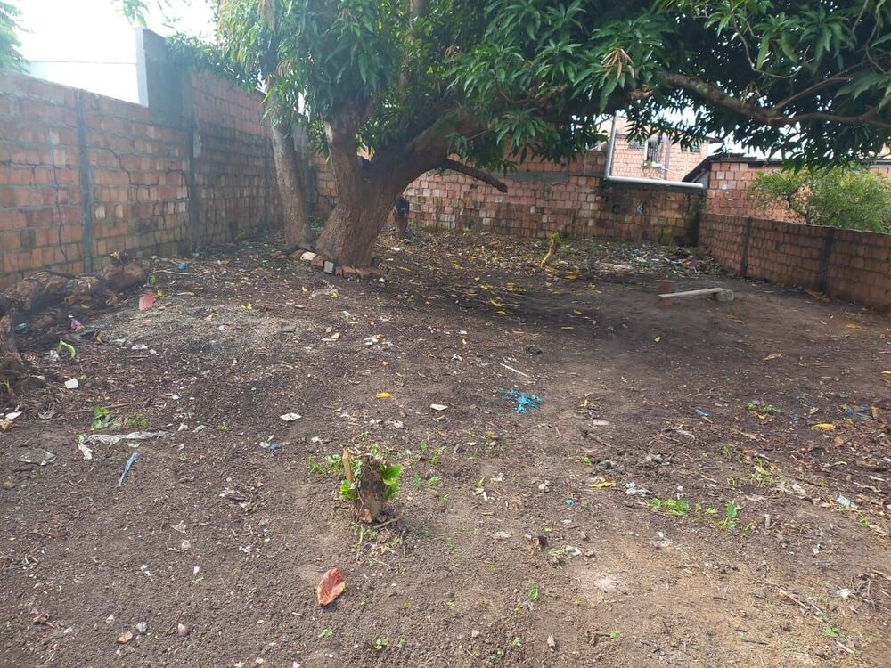 Terreno à venda - Foto 3