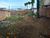 Terreno - Foto 2