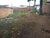 Terreno - Foto 5