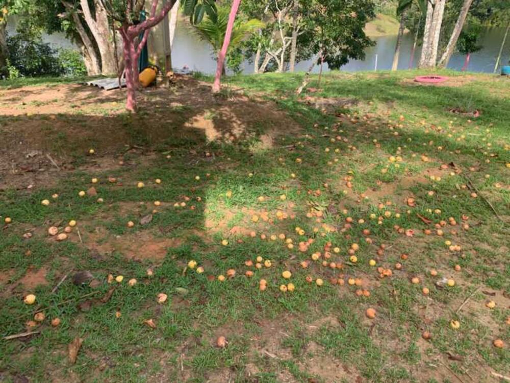 Loja-Salão, 250 m² - Foto 5