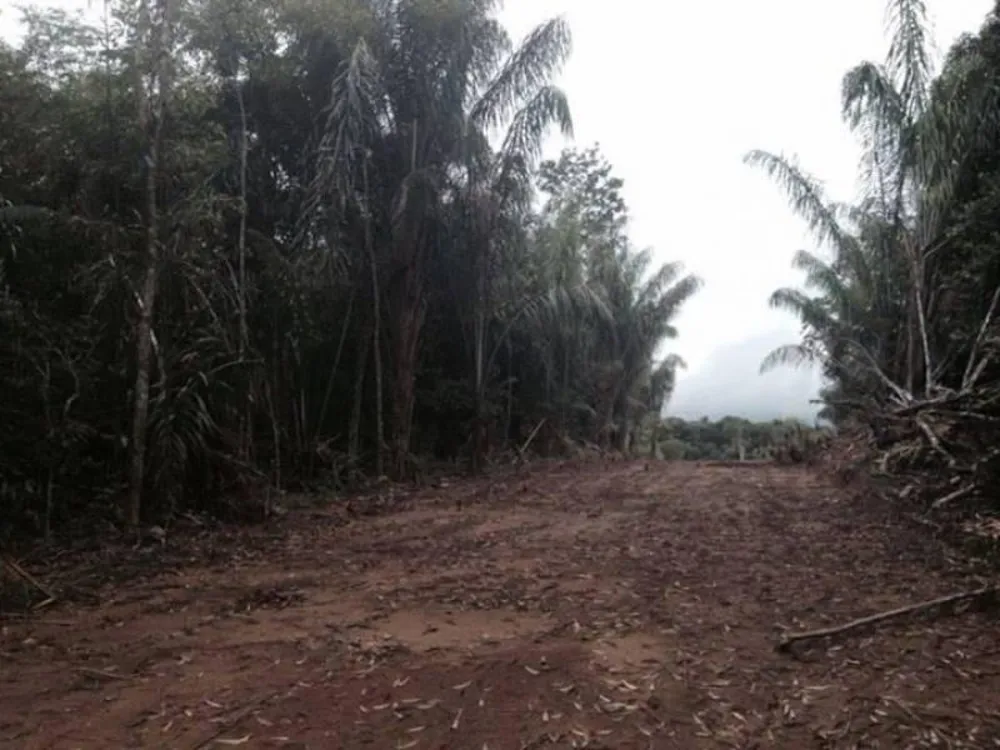Terreno - Foto 3