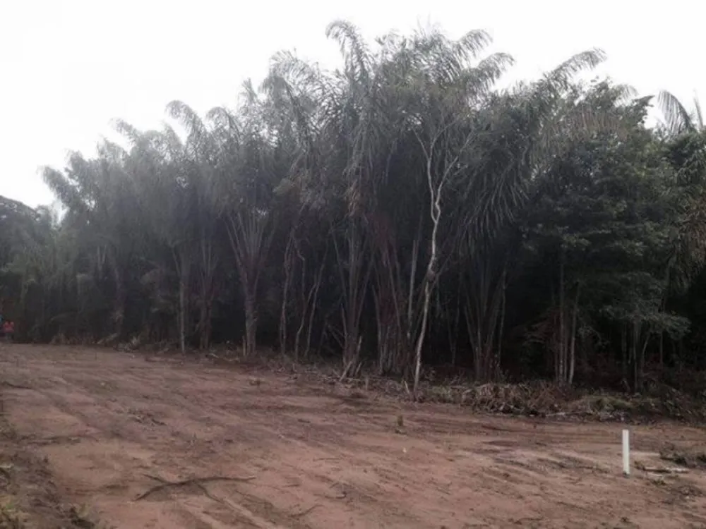 Terreno - Foto 5