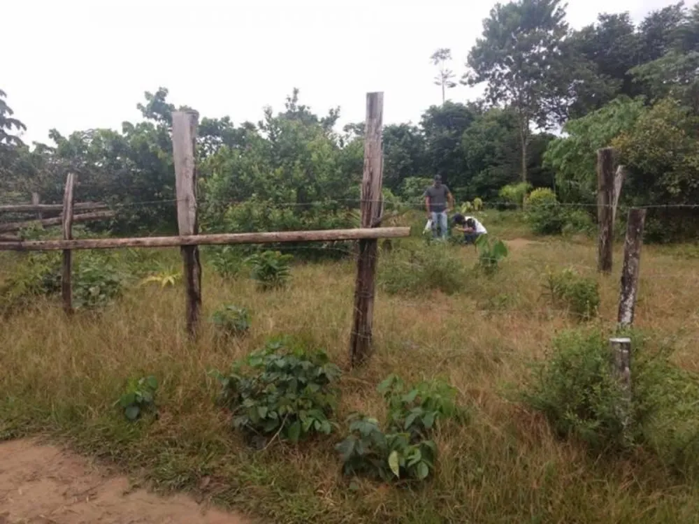 Terreno - Foto 2