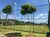 Terreno, 455 m² - Foto 4